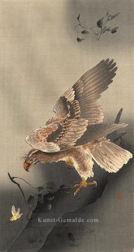 Vogel Werke - Schläfer Adler Ohara Koson Vögel